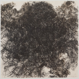 Kiki Smith. Untitled. 1990. Lithograph on handmade Japanese paper, sheet: 35 3/4 × 36″ (90.8 × 91.5 cm). Publisher and printer: Universal Limited Art Editions, West Islip, New York. Edition: 54. The Museum of Modern Art. Gift of Emily Fisher Landau