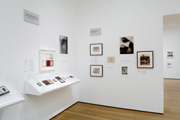 Installation view of The Printed Picture at The Museum of Modern Art, New York. Photo: Jonathan Muzikar