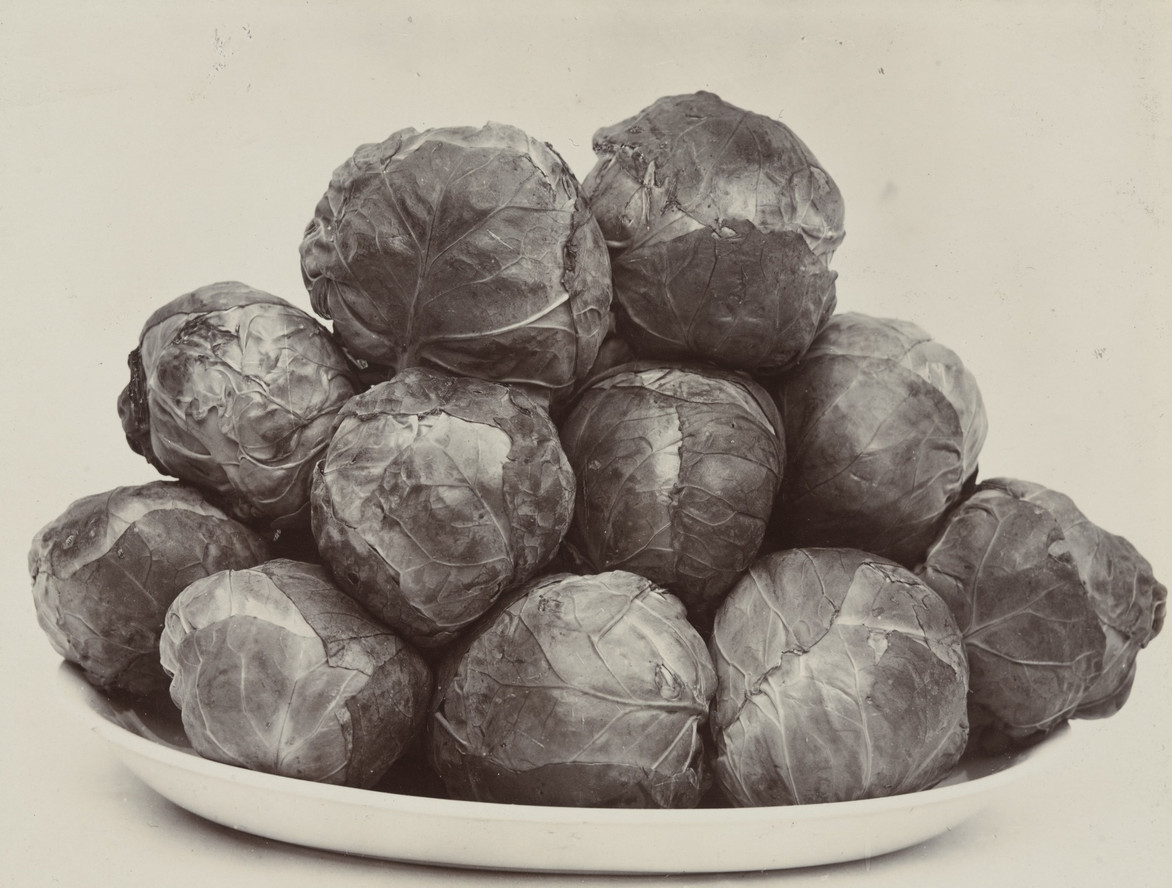 Charles Harry Jones. Brussels Sprouts. c. 1900