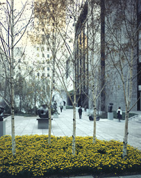 The Abby Aldrich Rockefeller Sculpture Garden, designed 1953. East terrace and east wing of The Museum of Modern Art, designed 1964. 1964. Photographic Archive. The Museum of Modern Art Archives, New York