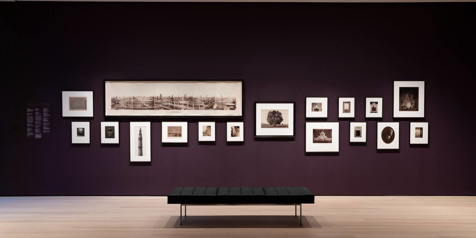 Installation view of Gallery 502: Early Photography and Film, October 2019. Photo: Jonathan Muzikar