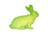 Eduardo Kac. GFP Bunny. 2000. Transgenic artwork. Alba, the fluorescent rabbit. Courtesy Henrique Faria Fine Art