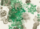 Ruth Asawa. Spring. 1965. Lithograph. Tamarind Lithography Workshop, Inc., Los Angeles. Gift of Kleiner, Bell &amp; Co. © Estate of Ruth Asawa Alt Text: A landscape-oriented lithograph with swaths of watery leaf green and mud brown ink snaking around the page. Large splatters of the green and brown inks mix in the middle.