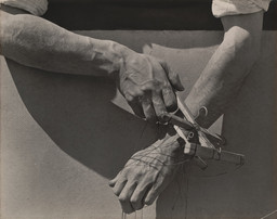 Tina Modotti. Hands of Marionette Player. 1929. Gelatin silver print, 7 1/2 × 9 1/2&#34; (19 × 24.1 cm). Anonymous gift