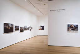 a shimmer of possibility. Photographs by Paul Graham. Feb 4–May 18, 2009. 