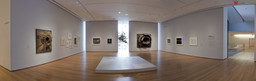Lee Bontecou: All Freedom in Every Sense. Apr 16–Sep 6, 2010. 8 other works identified