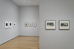 Edward Steichen Photography Collection Galleries: Rotation 5. Aug 8, 2007–Mar 3, 2008. 1 other work identified