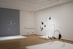 Focus: Alexander Calder. Sep 14, 2007–Apr 14, 2008. 2 other works identified