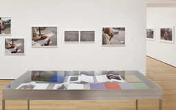 The Shaping of New Visions: Photography, Film, Photobook. Apr 16, 2012–Apr 21, 2013. 