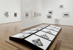 The Original Copy: Photography of Sculpture, 1839 to Today. Aug 1–Nov 1, 2010. 4 other works identified