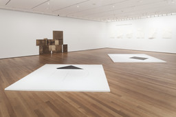 Dorothea Rockburne: Drawing Which Makes Itself. Sep 21, 2013–Feb 2, 2014. 8 other works identified