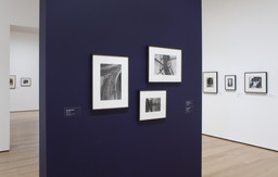 Pictures by Women: A History of Modern Photography. May 7, 2010–Apr 18, 2011. 3 other works identified