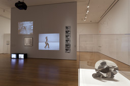 On Line: Drawing Through the Twentieth Century. Nov 21, 2010–Feb 7, 2011. 3 other works identified