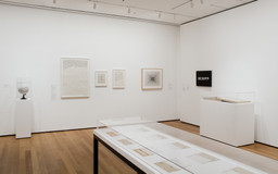 I Am Still Alive: Politics and Everyday Life in Contemporary Drawing. Mar 23–Sep 19, 2011. 1 other work identified