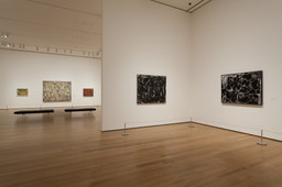 de Kooning: A Retrospective. Sep 18, 2011–Jan 9, 2012. 