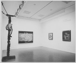 Recent Acquisitions: 20th-Century Pioneers. Mar 13–Apr 26, 1971. 1 other work identified