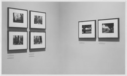 The Work of Atget: The Ancien Régime. Mar 14–May 14, 1985. 5 other works identified