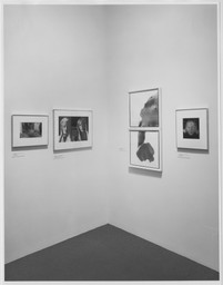 Recent Acquisitions, Photography. Jul 16–Oct 11, 1988. 1 other work identified
