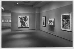 Drawings of the Eighties from the Collection, Part I. Nov 9, 1989–Feb 13, 1990. 1 other work identified