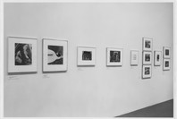 Photography Gallery Reinstallation. Jan 18, 1990. 1 other work identified