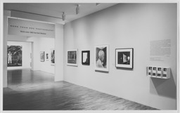 More than One Photography: Works since 1980 from the Collection. May 14–Aug 9, 1992. 1 other work identified