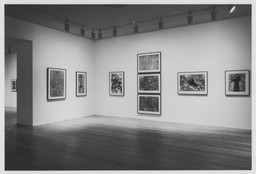 Modern Drawing: A Selection from the Collection, 1884–1961. Oct 23, 1993–Feb 15, 1994. 1 other work identified