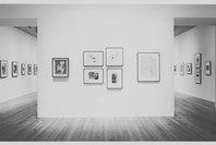 Modern Drawing: A Selection from the Collection, 1884–1961. Oct 23, 1993–Feb 15, 1994.