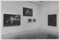 On the Edge: Contemporary Art from the Werner and Elaine Dannheisser Collection. Sep 30, 1997–Jan 20, 1998. 1 other work identified