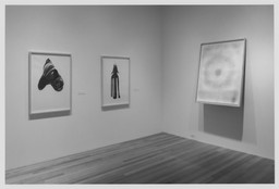 A Decade of Collecting: Recent Acquisitions in Contemporary Drawing. Sep 8, 1997–Jan 20, 1998. 1 other work identified