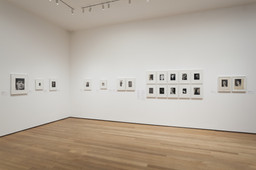 Modern Photographs from the Thomas Walther Collection, 1909–1949. Dec 13, 2014–Apr 19, 2015. 17 other works identified