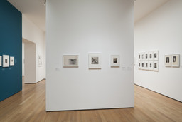 Modern Photographs from the Thomas Walther Collection, 1909–1949. Dec 13, 2014–Apr 19, 2015. 6 other works identified