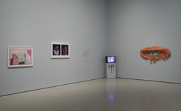 Multiplex: Directions in Art, 1970 to Now. Nov 21, 2007–Jul 21, 2008. 3 other works identified