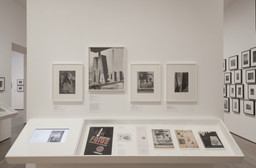 From Bauhaus to Buenos Aires: Grete Stern and Horacio Coppola. May 17–Oct 4, 2015. 