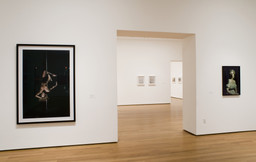 Photography Collection Rotation: Menschel Gallery. Jan 19–Apr 23, 2007. 1 other work identified