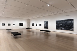 516: Gerhard Richter’s October 18, 1977. Fall 2020–Spring 2021. 