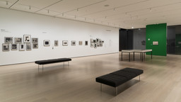 Fotoclubismo: Brazilian Modernist Photography, 1946–1964. May 8–Sep 26, 2021. 24 other works identified