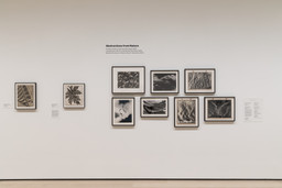 Fotoclubismo: Brazilian Modernist Photography, 1946–1964. May 8–Sep 26, 2021. 8 other works identified