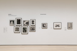 Fotoclubismo: Brazilian Modernist Photography, 1946–1964. May 8–Sep 26, 2021. 7 other works identified