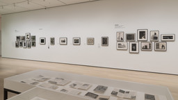 Fotoclubismo: Brazilian Modernist Photography, 1946–1964. May 8–Sep 26, 2021. 23 other works identified