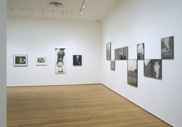 Photography: Inaugural Installation. Nov 20, 2004–Jun 6, 2005. 2 other works identified