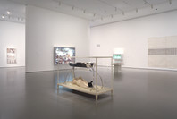 Contemporary: Inaugural Installation. Nov 20, 2004–Jul 11, 2005. 6 other works identified