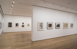 Drawing from the Modern, 1945 - 1975. Mar 30–Aug 29, 2005. 3 other works identified